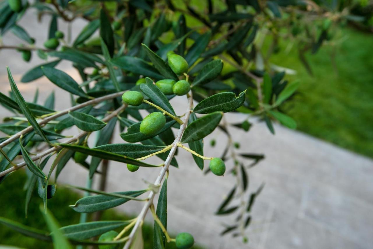 Olive 101 Apartment Peraia  Ngoại thất bức ảnh